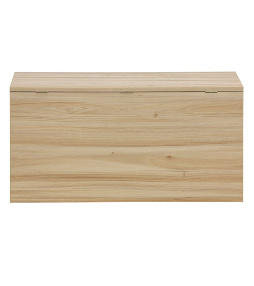 Baúl de almacenaje de ratán CAMILE